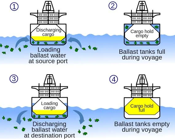 선박의 평형수(BALLAST) 관련 용어