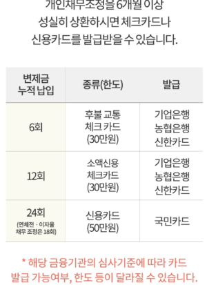 신속채무조정중 가능한 후불 교통카드 있나요?