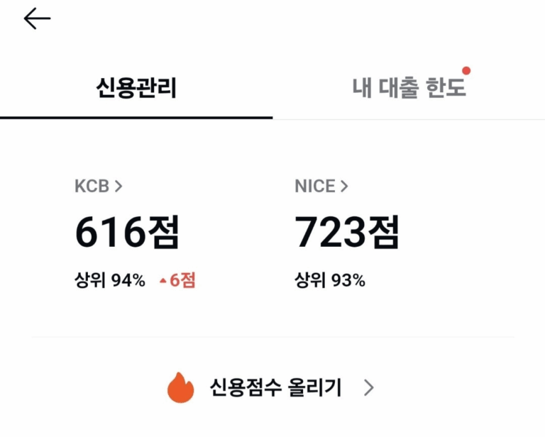 개인워크 24회차, 신용점수와 카드발급 가능!